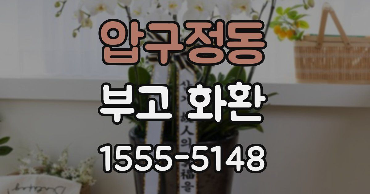 압구정동 부고 화환