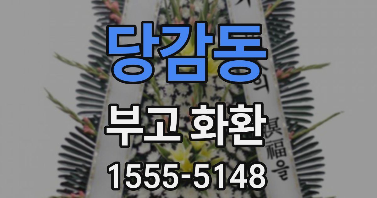 당감동 부고 화환