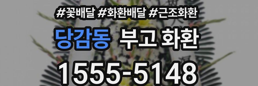 당감동 부고 화환