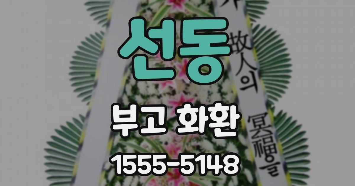 선동 부고 화환