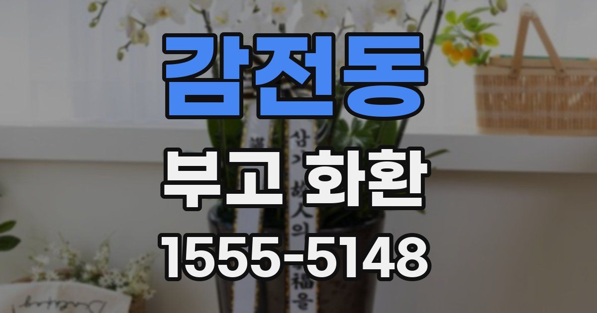 감전동 부고 화환