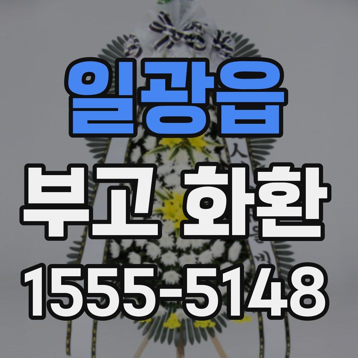 일광읍 부고 화환 비용 문의 전 확인할 점