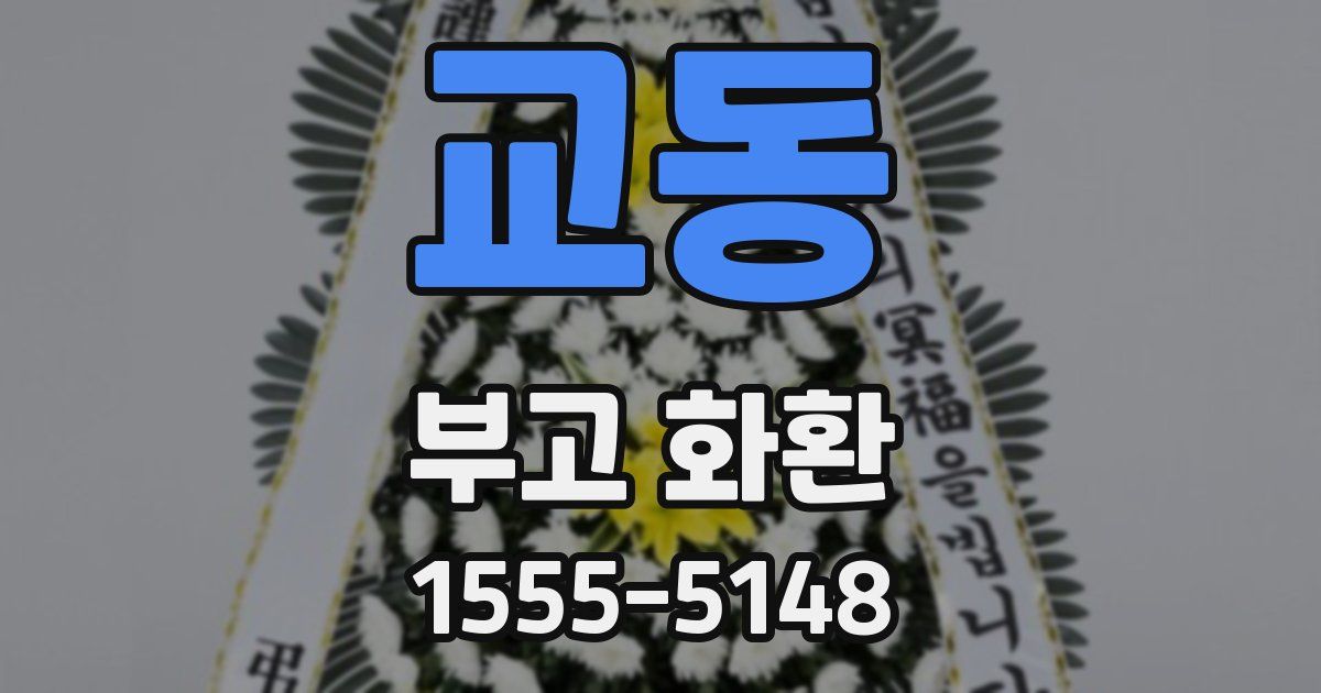 교동 부고 화환