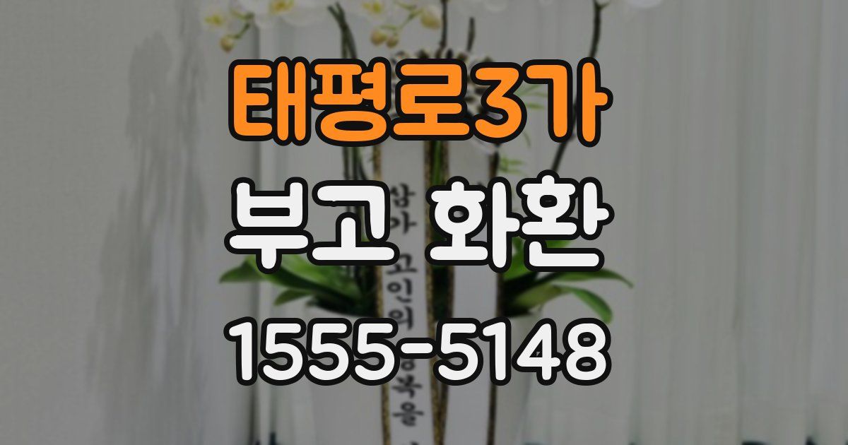 태평로3가 부고 화환