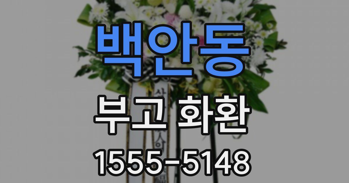 백안동 부고 화환