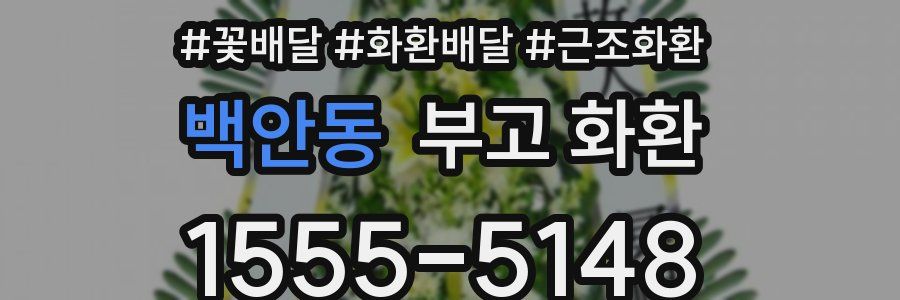 백안동 부고 화환