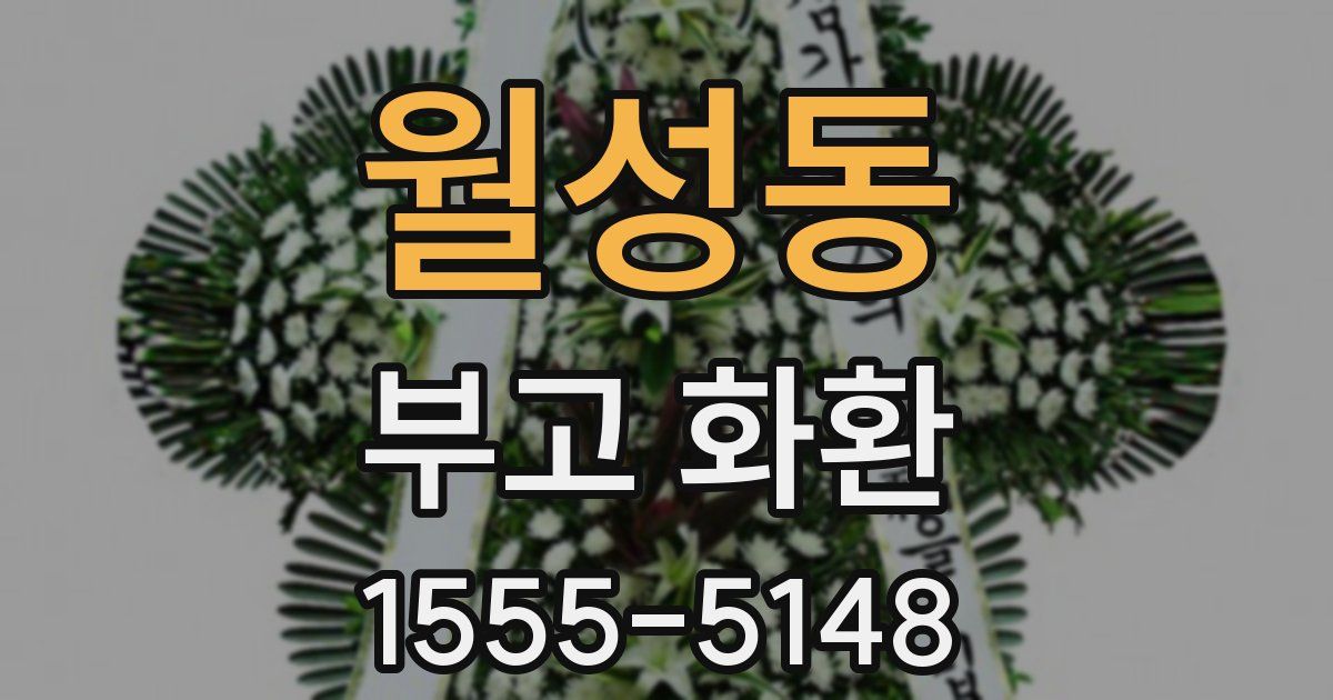 월성동 부고 화환