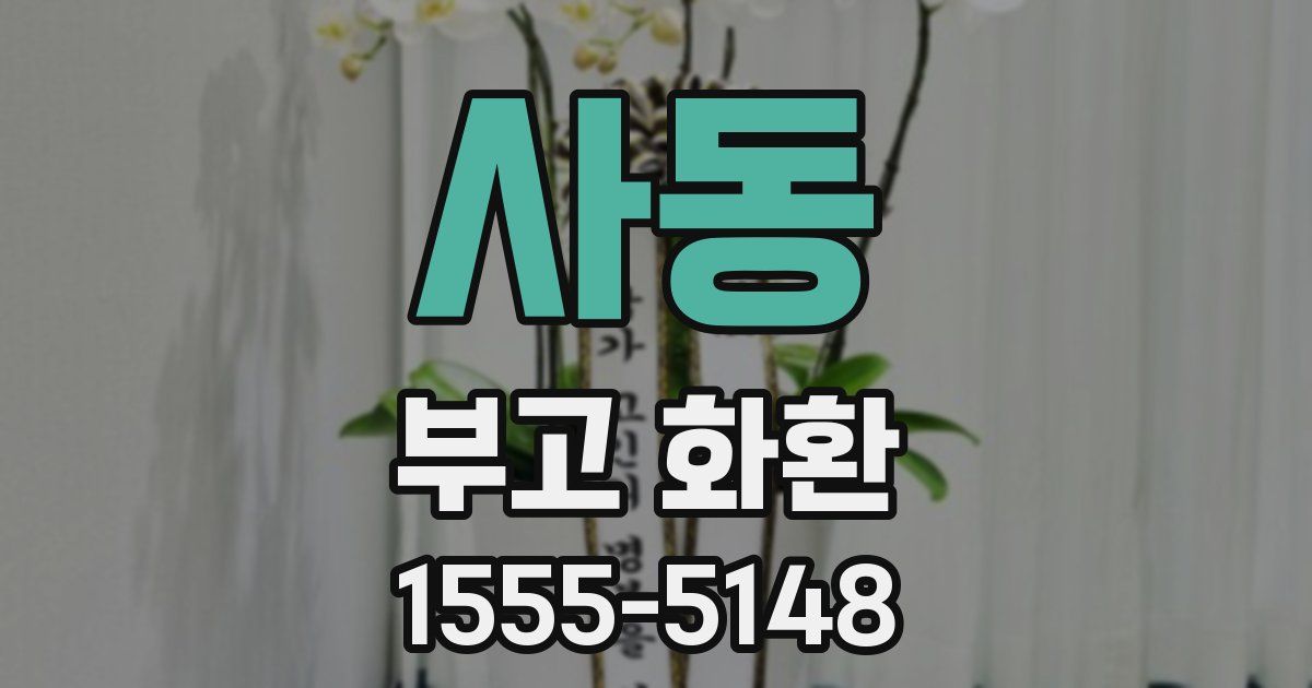 사동 부고 화환