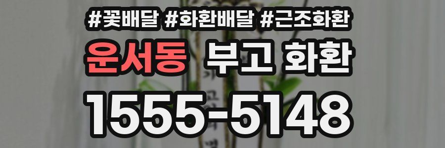 운서동 부고 화환