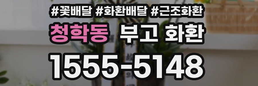 청학동 부고 화환