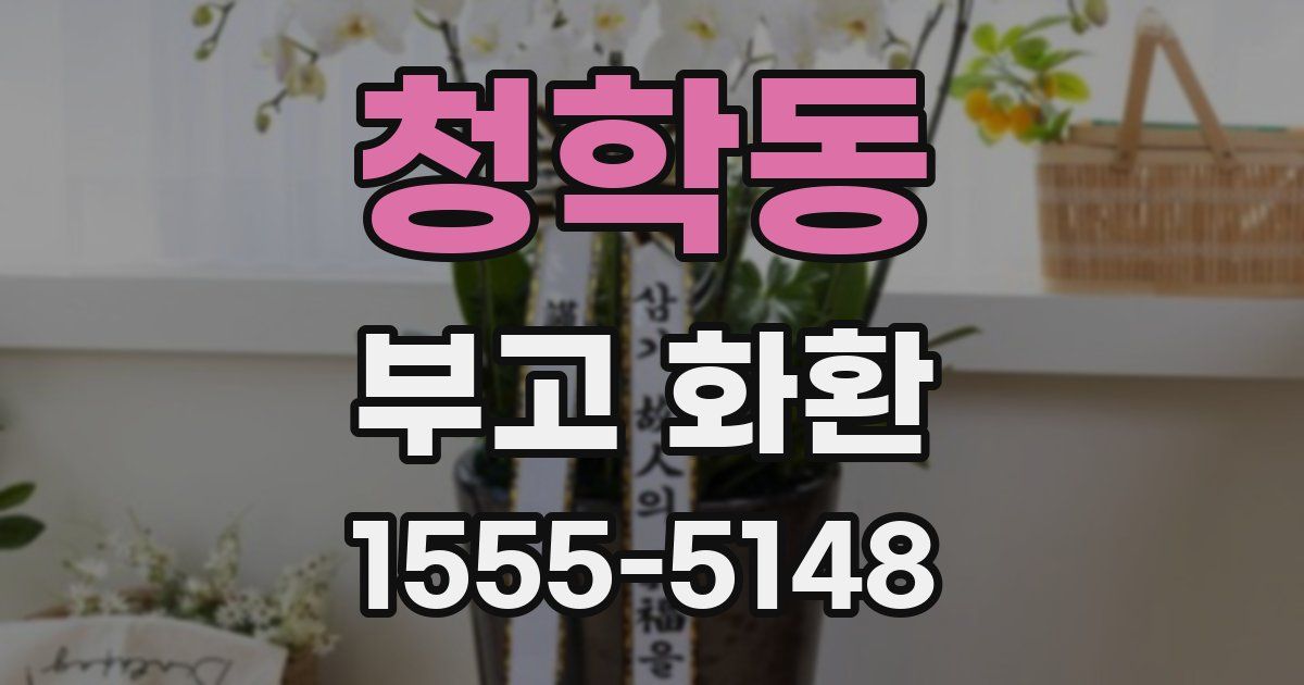 청학동 부고 화환