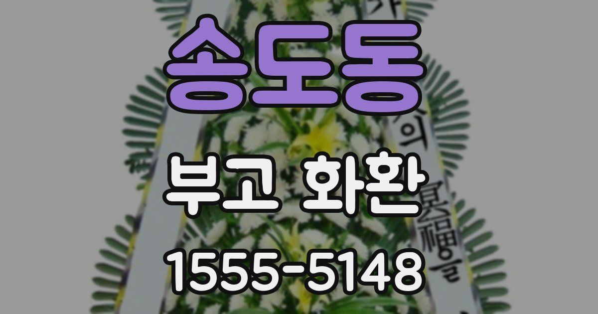 송도동 부고 화환