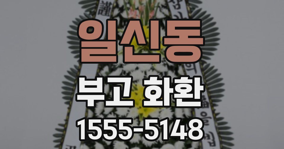 일신동 부고 화환