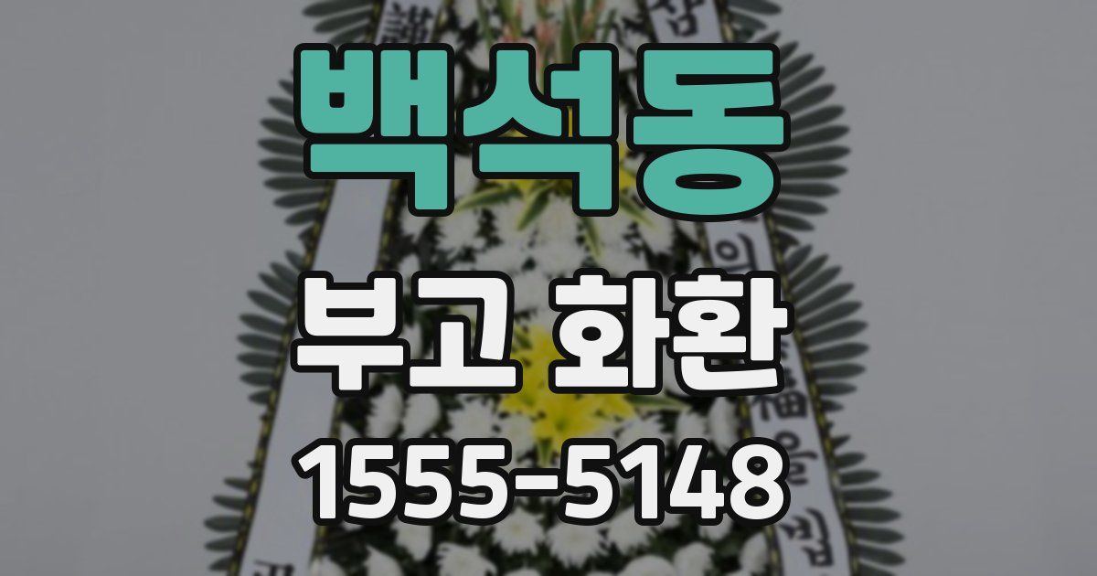 백석동 부고 화환