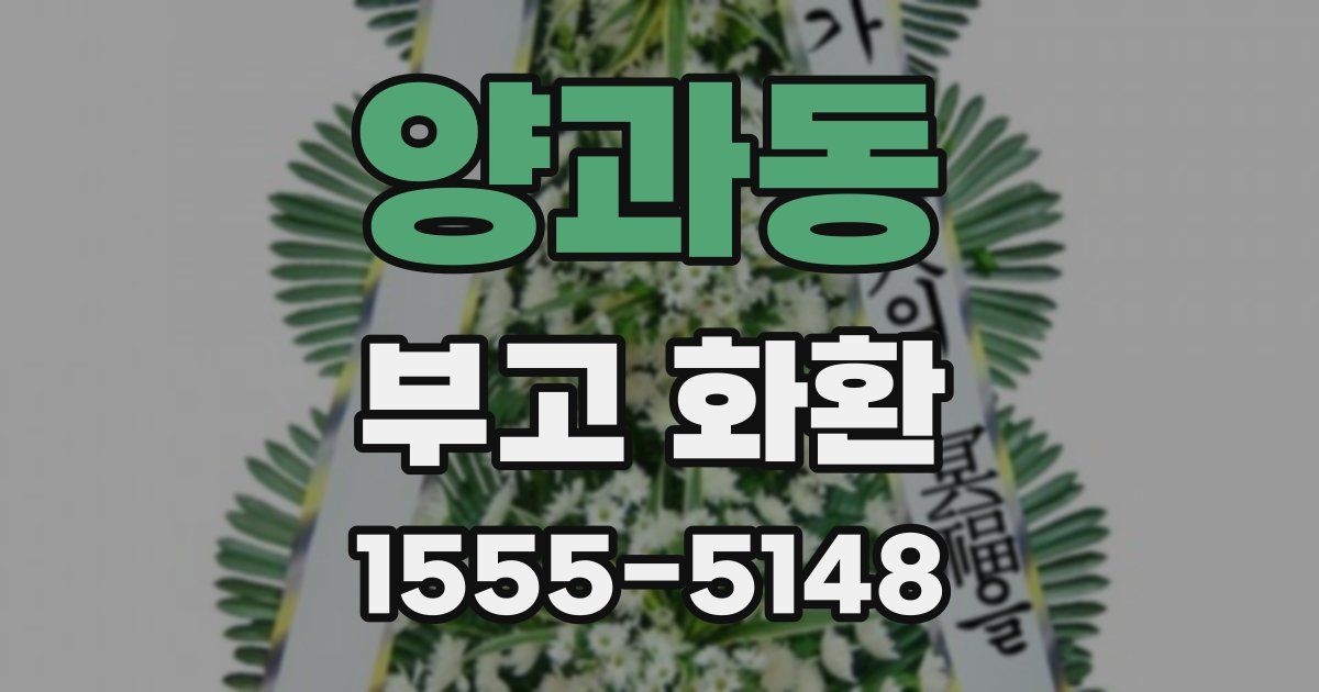 양과동 부고 화환
