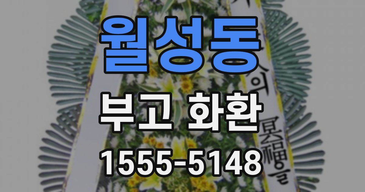 월성동 부고 화환