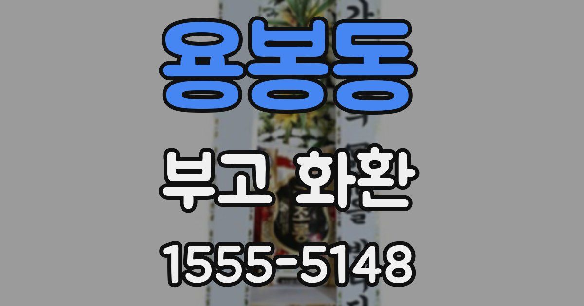용봉동 부고 화환