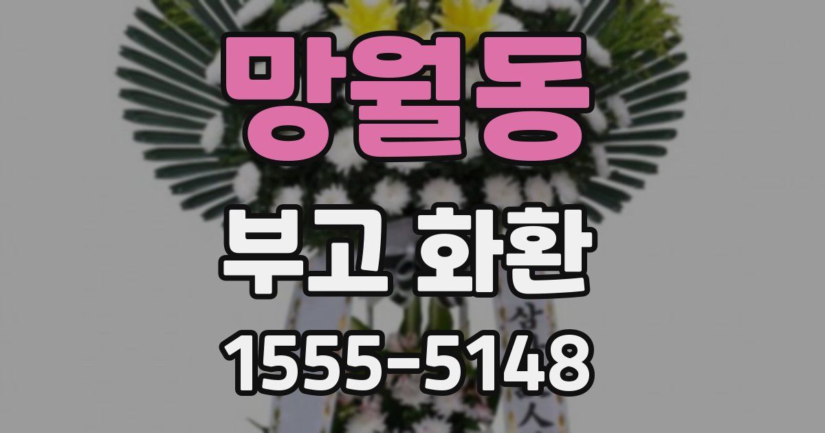 망월동 부고 화환