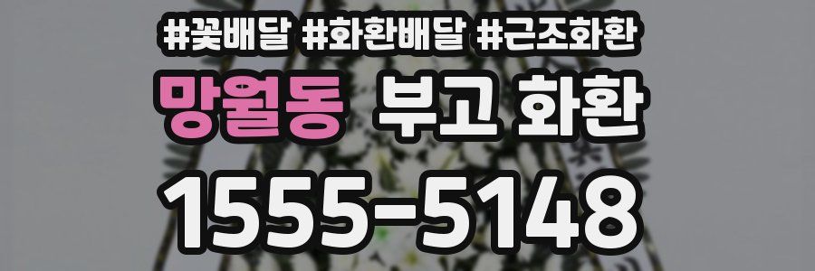 망월동 부고 화환