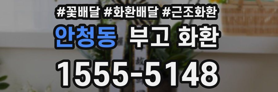 안청동 부고 화환