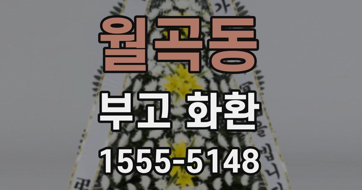 월곡동 부고 화환