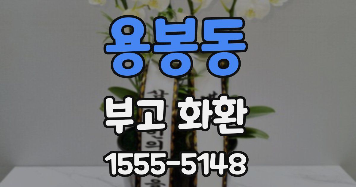 용봉동 부고 화환