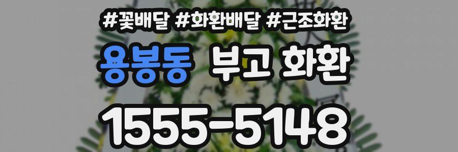 용봉동 부고 화환