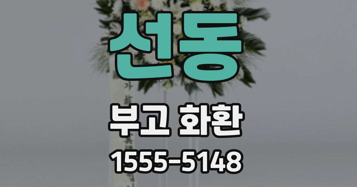 선동 부고 화환