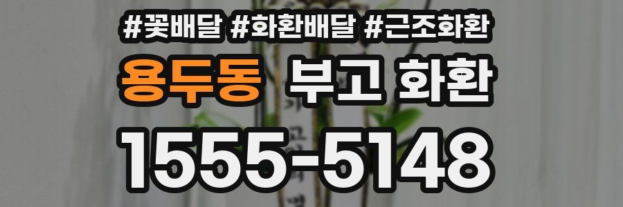 용두동 부고 화환