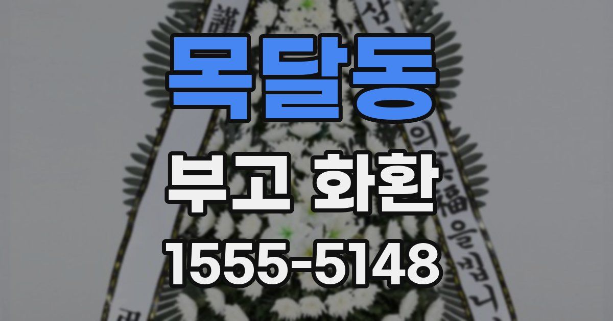 목달동 부고 화환