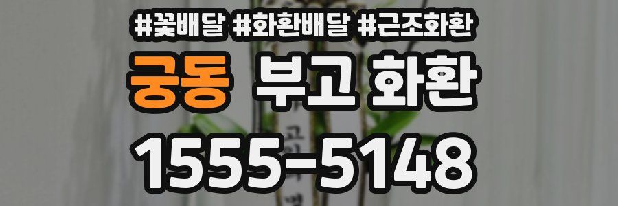 궁동 부고 화환