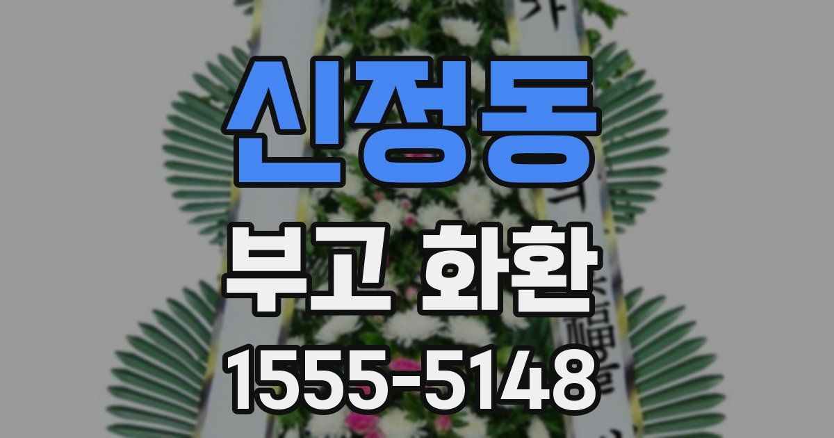 신정동 부고 화환