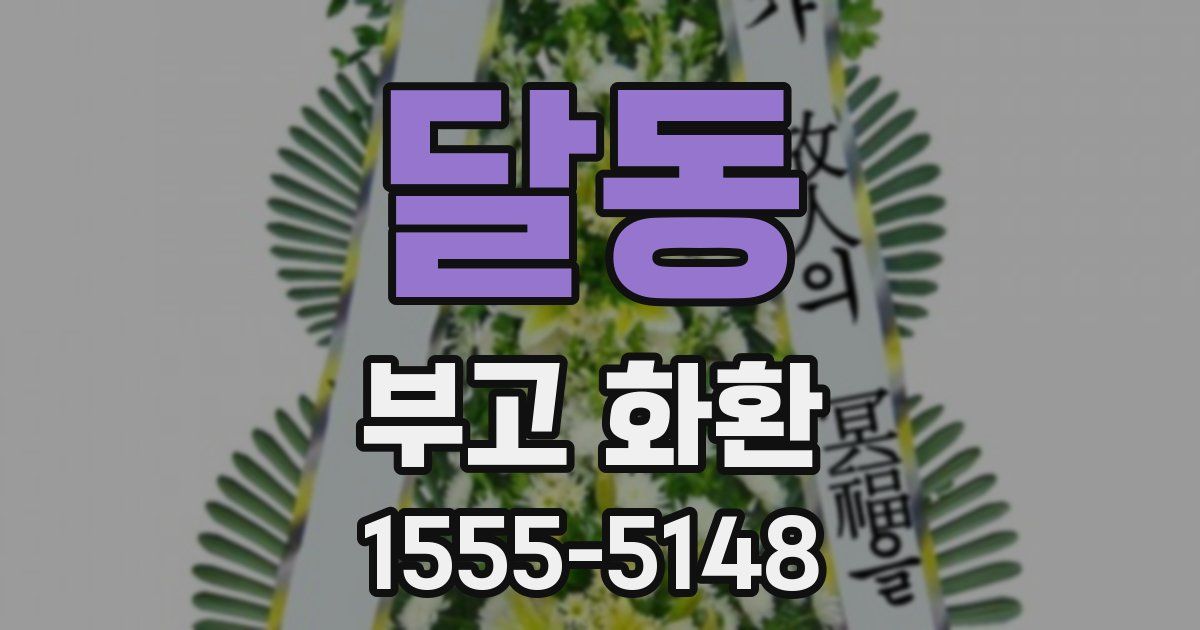 달동 부고 화환