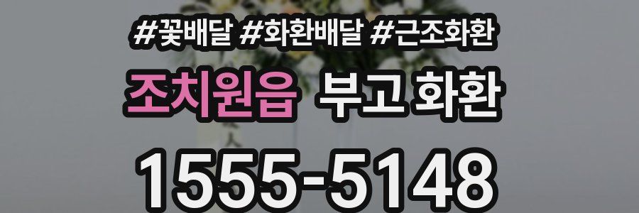 조치원읍 부고 화환