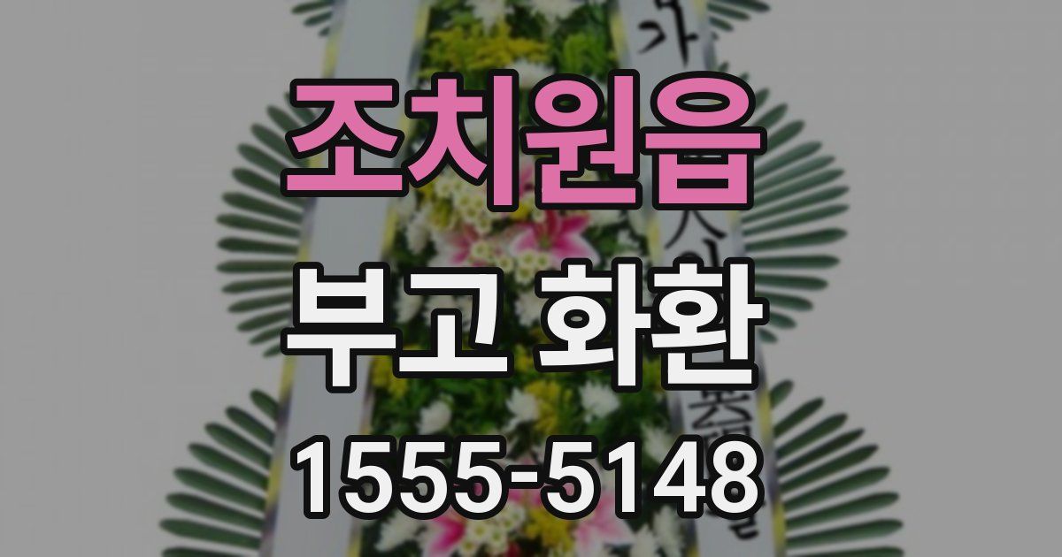 조치원읍 부고 화환