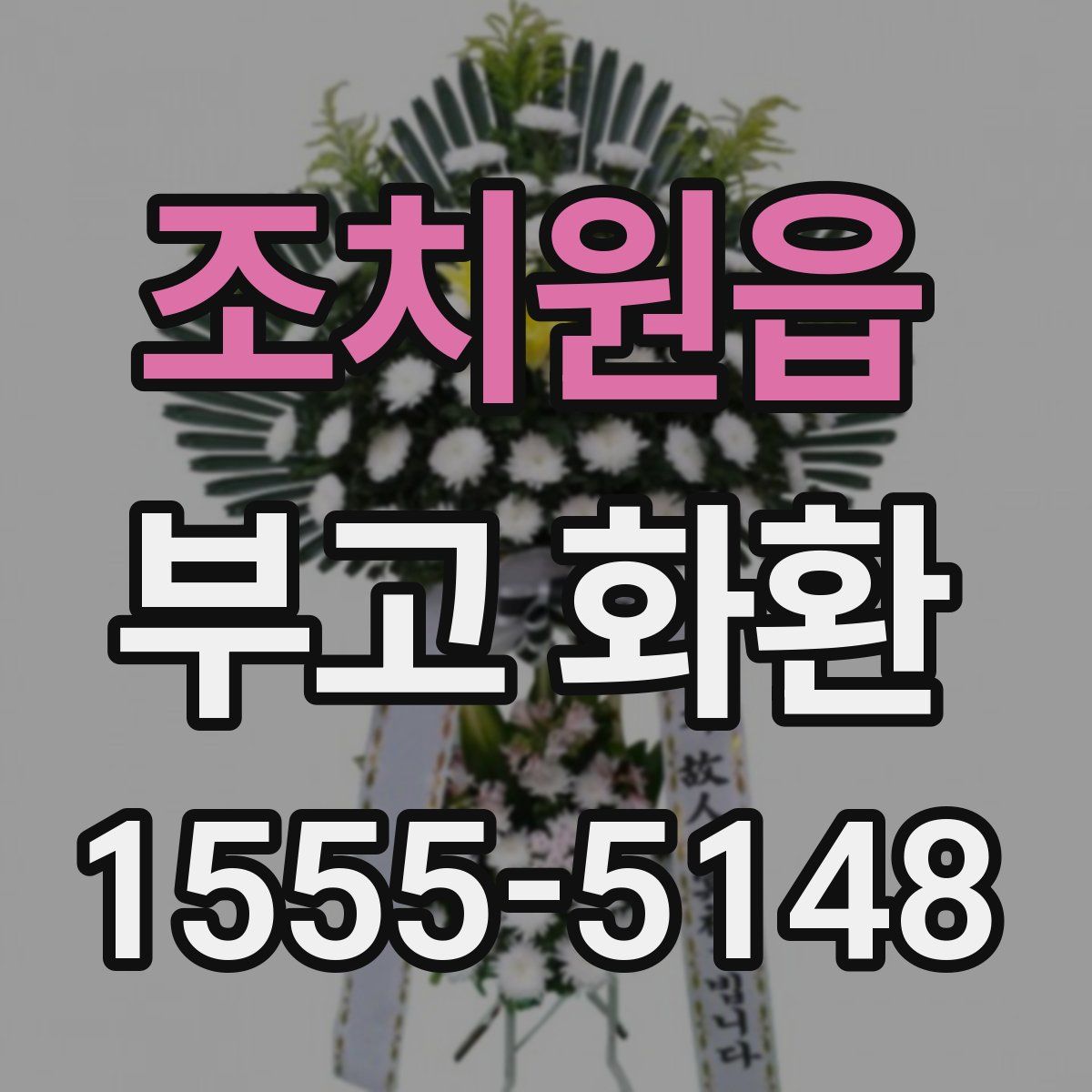 조치원읍 부고 화환