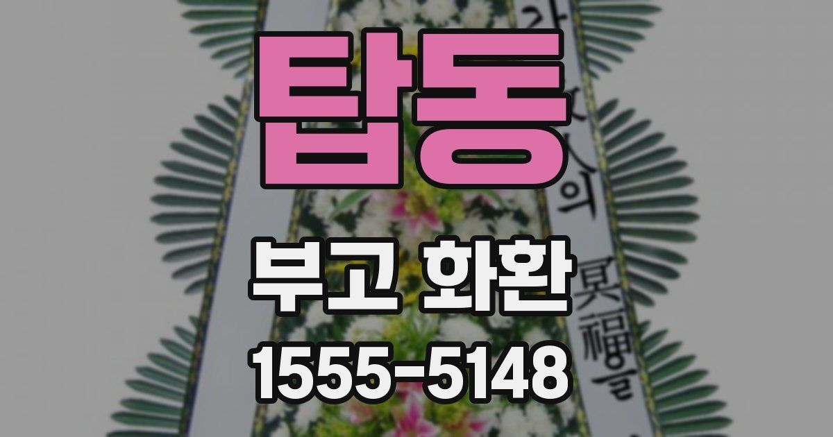 탑동 부고 화환