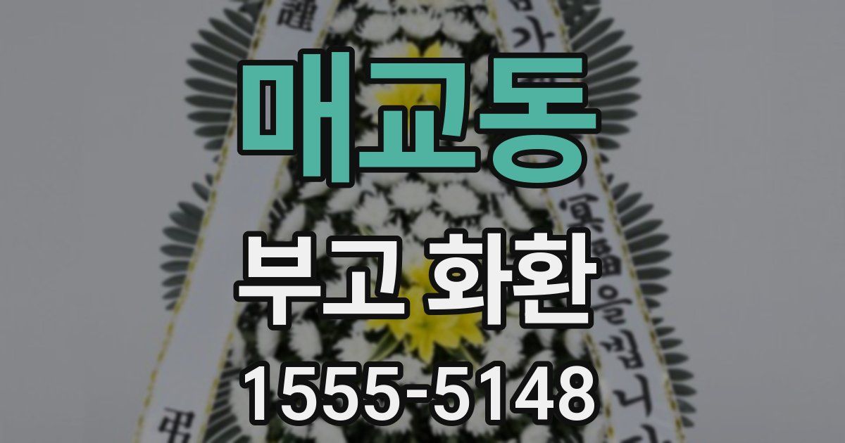 매교동 부고 화환
