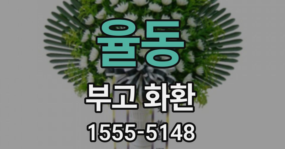 율동 부고 화환