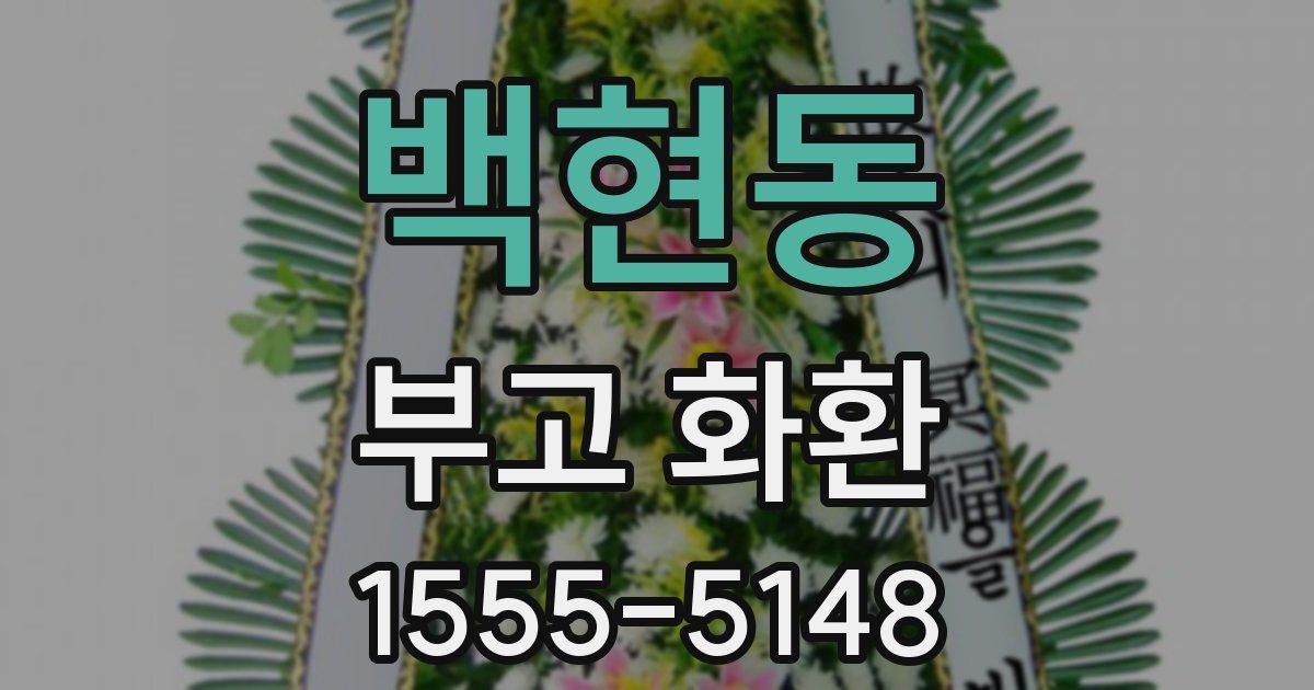 백현동 부고 화환