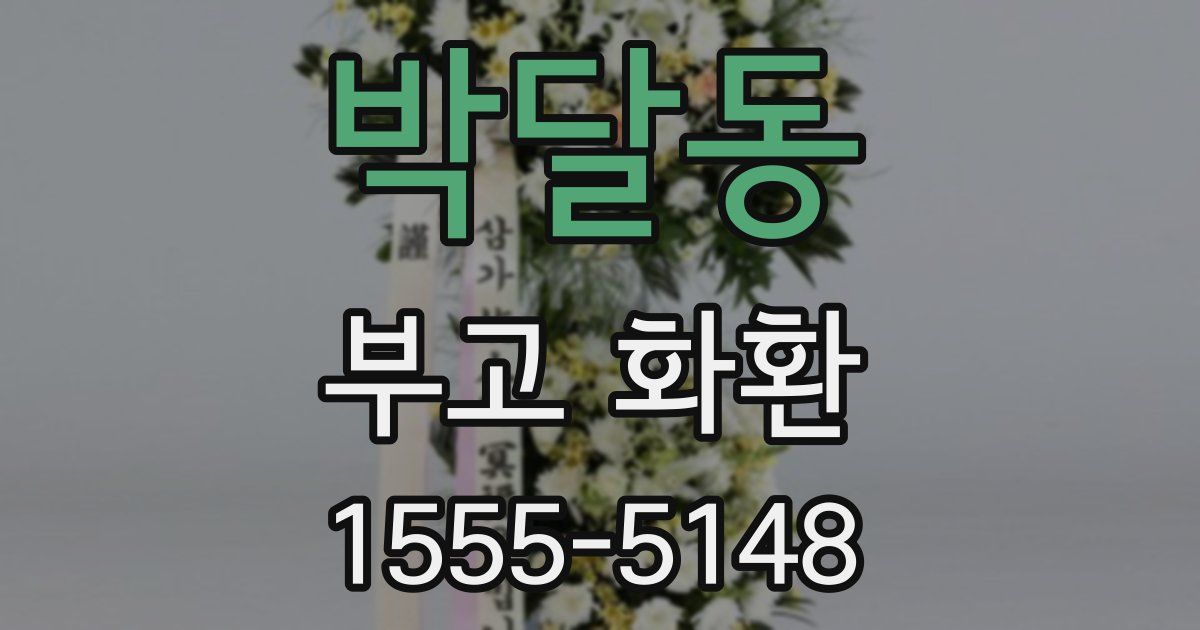 박달동 부고 화환