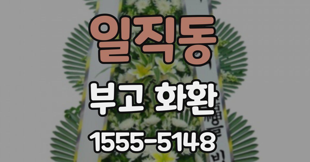 일직동 부고 화환