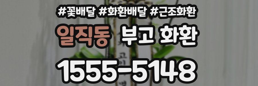 일직동 부고 화환