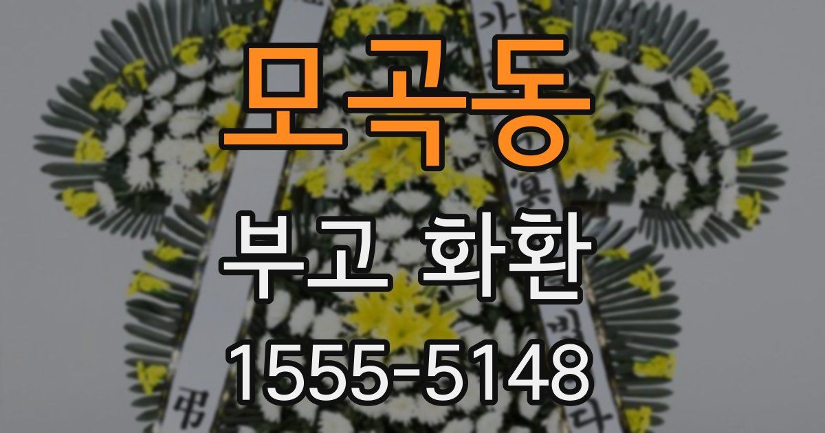 모곡동 부고 화환