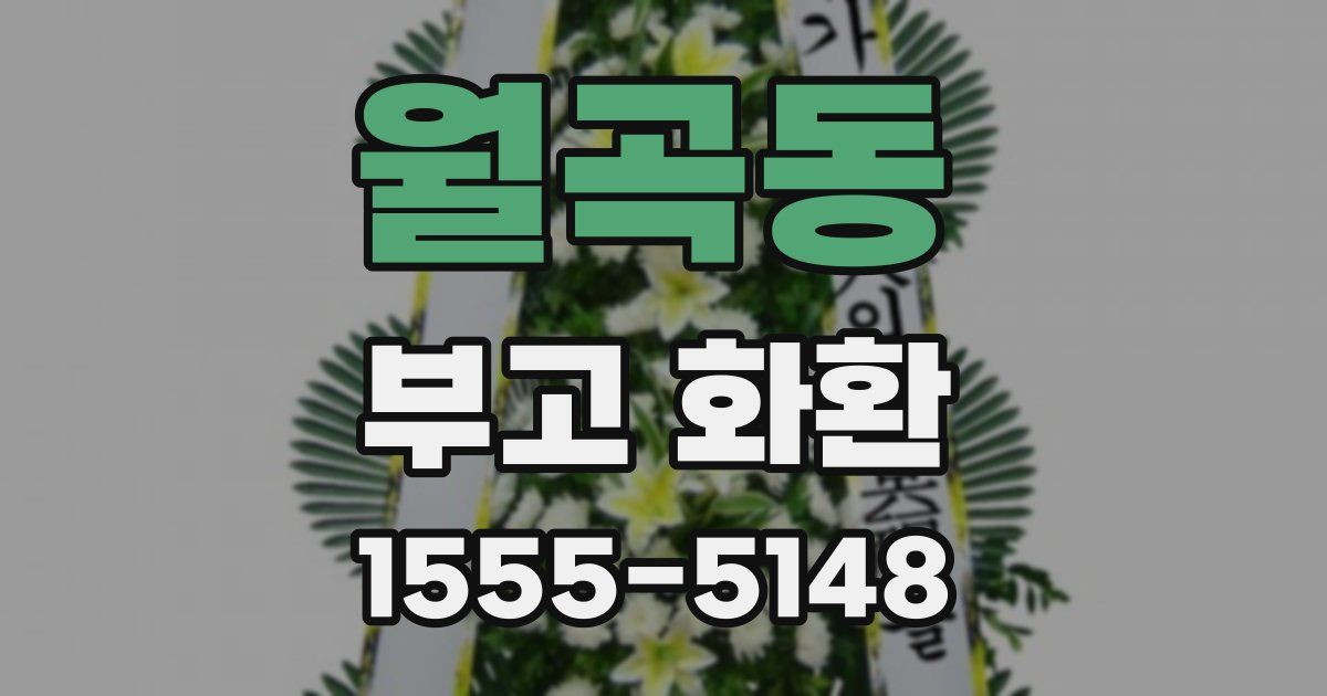 월곡동 부고 화환