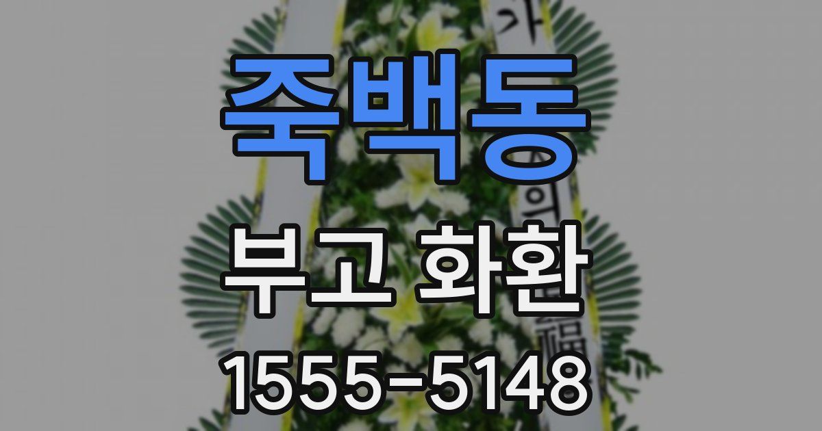 죽백동 부고 화환