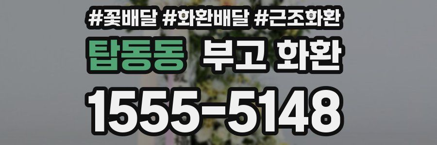 탑동동 부고 화환