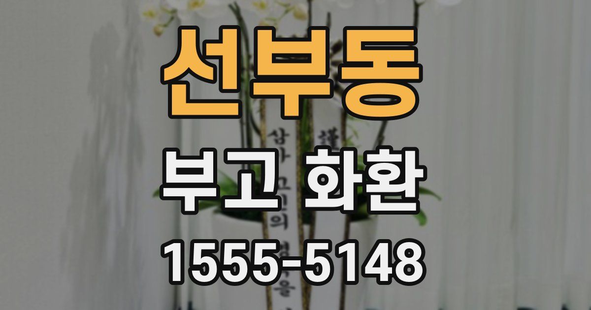 선부동 부고 화환