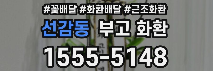 선감동 부고 화환