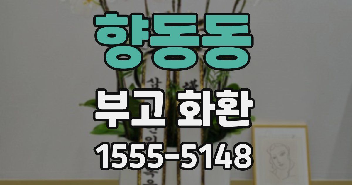 향동동 부고 화환